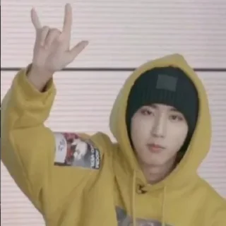🤟 💗stray kids💗, стікер Telegram 6 з 75