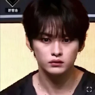 😐 💗stray kids💗, стікер Telegram 17 з 75