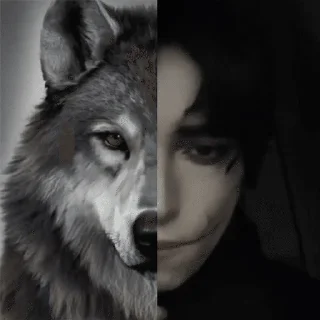 🌟 mrjopsaholic, стікер Telegram 6 з 14