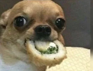 жужа