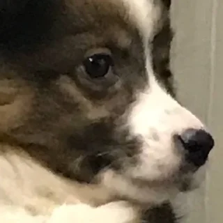☹️ Крейзи Пуговица, Telegram sticker 14 of 80