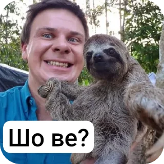 🙂 Дімачка, Telegram sticker 8 of 49