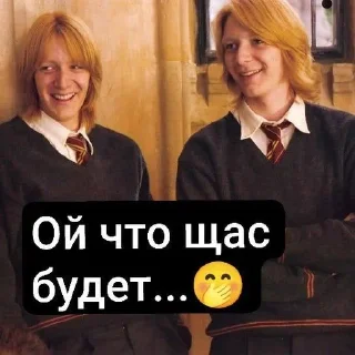 🌟 🪄Harry Potter stickers🪄, sticker Telegram 6 sur 26