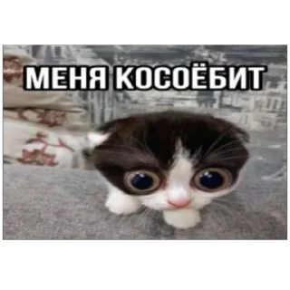 Меня косоёбит