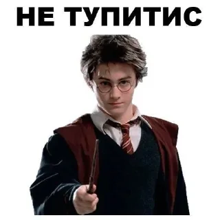 🌟 🪄Harry Potter stickers🪄, sticker Telegram 11 sur 26