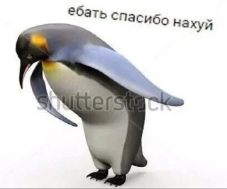 😌 Набір Бобра 2.0, Telegram sticker 22 of 96