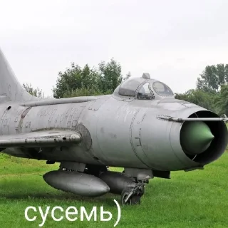 Летающие чмошники