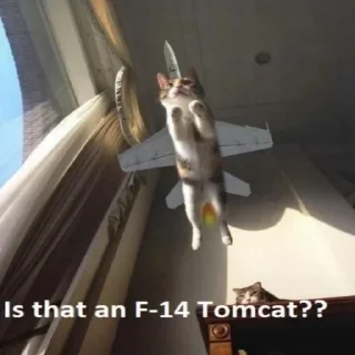 🐈 Летающие чмошники, Telegram sticker 13 of 31