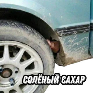Чмошники саркофага