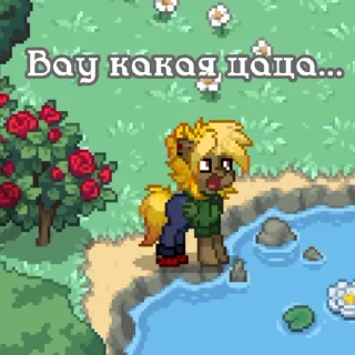 🌟 Никита Хорошш, sticker Telegram 19 sur 29