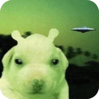 🫥 I want to believe, sticker Telegram 6 sur 30