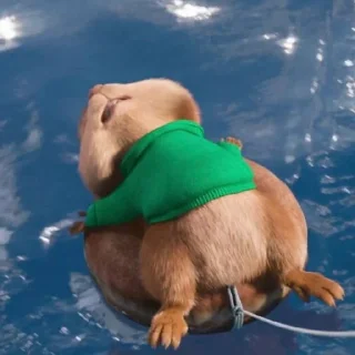 😞 буруднучки, Telegram sticker 16 of 24