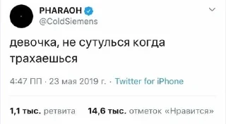 🌟 фараoh типа бля, sticker Telegram 12 sur 41