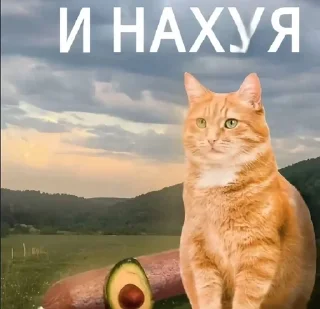 🌟 @theglamourr, стікер Telegram 24 з 120