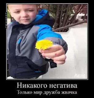 😌 Избранные гифки от Матвея, стикер Telegram 14 из 36