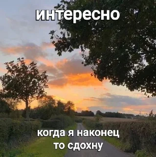 🌟 апатия, стікер Telegram 7 з 30
