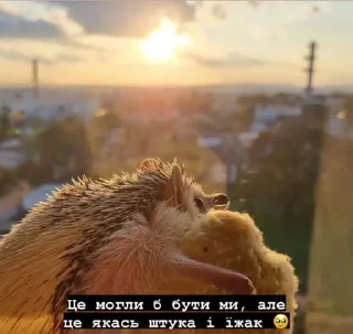 🌟 Місса ідішин<3, стикер Telegram 14 из 120
