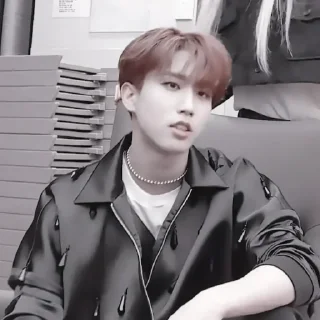 🦪 #𝐯𝐥𝐨𝐠: han ;: by @paradismaudit, стикер Telegram 11 из 40