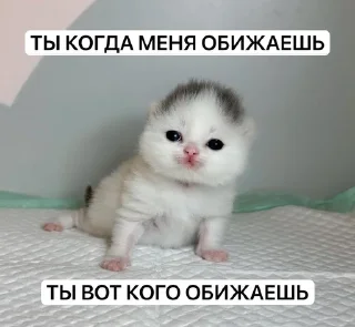 😢 stik mon, стикер Telegram 5 из 61