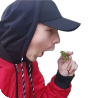 Дичь