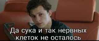 🌟 Пикчи, sticker Telegram 17 sur 120