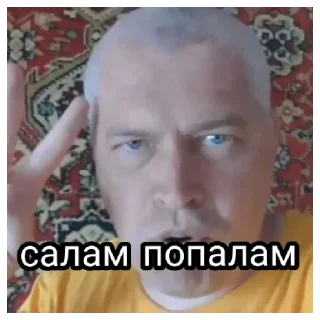 Геннадий Горин Стикеры