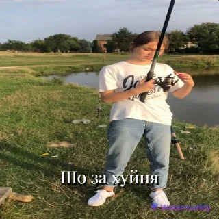 😐 Волоське село, стикер Telegram 4 из 39