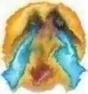 😭 Гугу гага2, Telegram sticker 15 of 25