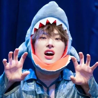 🦈 Mingi, sticker Telegram 19 sur 62