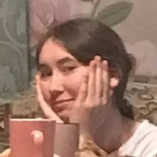 ☺️ Гуляш, стикер Telegram 16 из 52