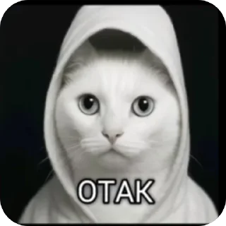 @Killu000777 :; Omgcatzzl