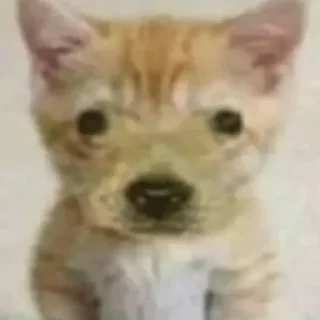 😐 обосраться, Telegram sticker 7 of 95