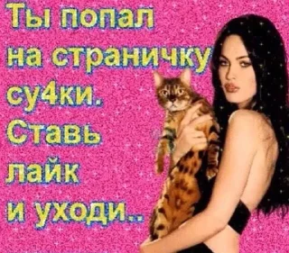 🤪 бичес, стикер Telegram 11 из 38