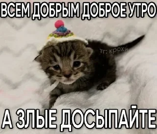 🌟 А я на морі :: @Damkca @fStikBot, sticker Telegram 17 sur 50