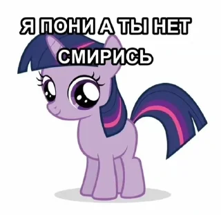 🌟 Я пони а ты нет смирись, стікер Telegram 16 з 18
