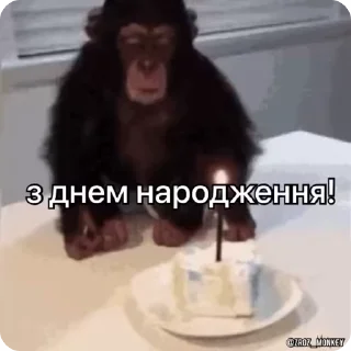 🤩 Мої мавпочки п'ять @Packek @zroz_monkey, стікер Telegram 24 з 50