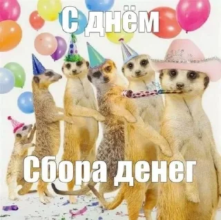 🌟 переговоры с леной, sticker Telegram 21 sur 59