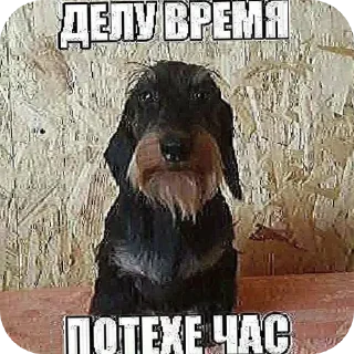 👍 Ну я, стикер Telegram 13 из 120