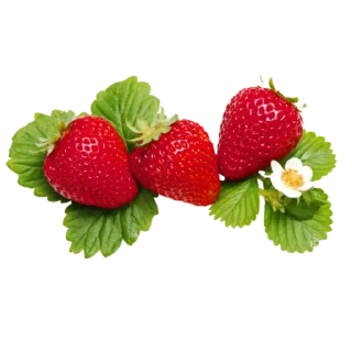 🍓 Клубника @devil_yulia, sticker Telegram 17 sur 19