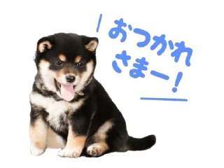 🌟 Shiba Inu 🐾, sticker Telegram 18 sur 110