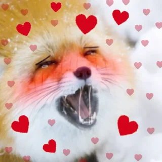 ♥️ ˑ ✬ ˑˑˑ ∗ ˑ ✨💖✨ˑ ✬ˑ ˑ ∗ˑ ˑ, sticker Telegram 21 sur 53