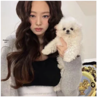 🌟 Дженни, стікер Telegram 11 з 15