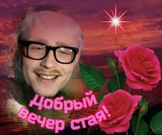 член в попе