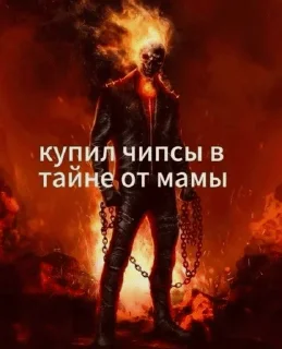 член в попе