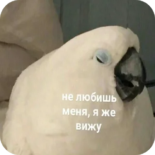 😔 Для важных переговоров @MoiStikiBot, Telegram sticker 21 of 120