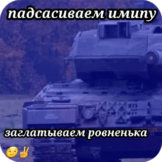 🚗 Анархо-ДНР, sticker Telegram 10 sur 16