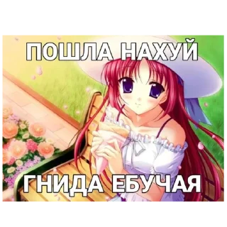 🐱 волосатые шаболды, sticker Telegram 10 sur 47