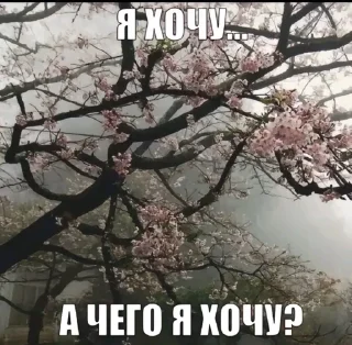 😞 бред, sticker Telegram 23 sur 117