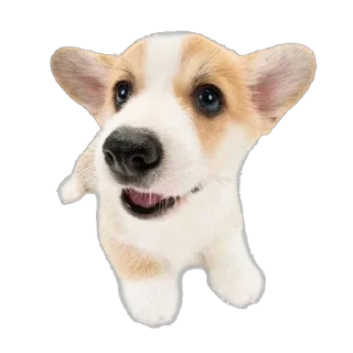 🤯 комфорт^, стикер Telegram 16 из 50