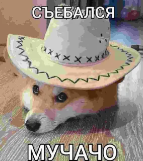 парень ты еблан